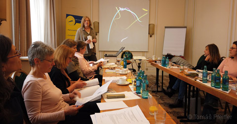 Výroční valné shromáždění členských organizací ANME dne 6. 3. 2019, Frankfurt nad Mohanem.
