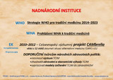 Nadnárodní instituce a TCIM